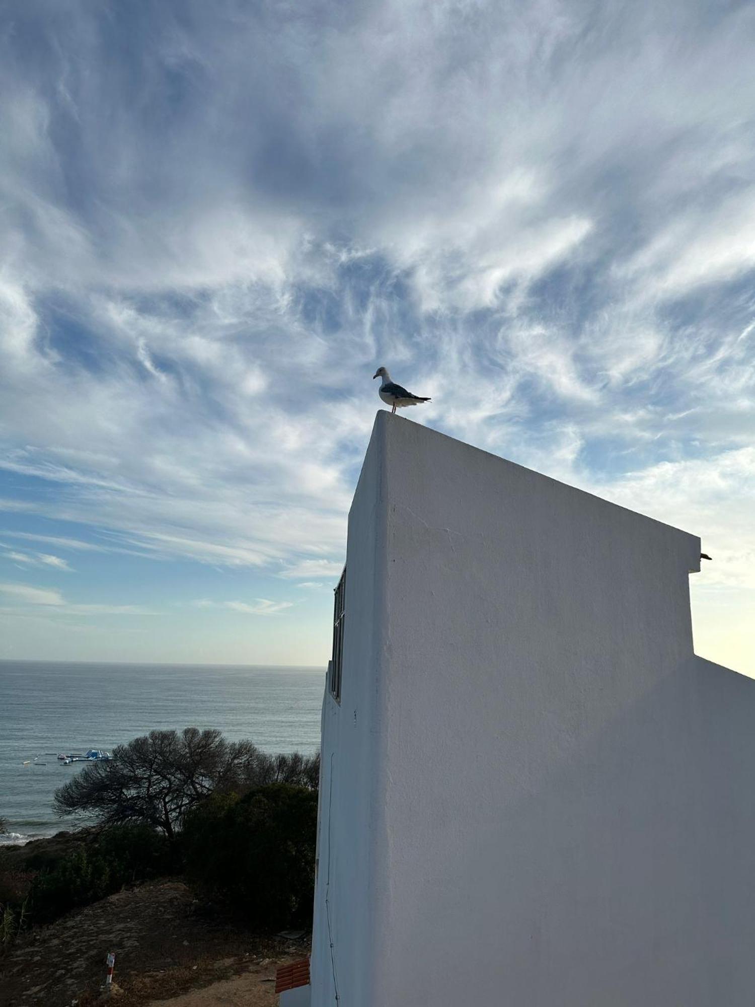 شقة البوفيرا  في Golden Cliff House المظهر الخارجي الصورة